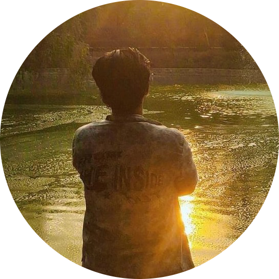 Developer